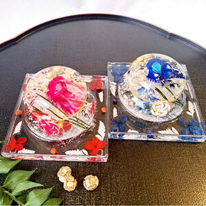 yz   j n[oE vU[uht[ Of[VV[KN  u CeA v[g  ԋ nhCh IWi 