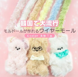 ワイヤーモールド モールド 韓国　モルドル モールドール 簡単 モールドキット キット 夏休み 宿題 ハンドメイド 大人 趣味 ニューアイテム ワークショップ 可愛い クマ ネコ ウサギ オリジナル 　長さ約1m