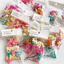 ネイル ネイルアート ネイルパーツ ドライフラワー ポップカラー カスミソウ 綺麗 可愛い 埋め込み ネイルチップ 大容量 パーツ 簡単 ハンドメイド アクセサリー レジン キャンドル せっけん 石膏 趣味 大人 ネイルストーン