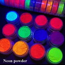 ネイルパウダー 蛍光色パウダー ネオンカラー ネイル パウダー 蛍光色 蛍光ネイル スカルプパウダー ジェルネイル スカルプ 3Dパウダー ネイルアート 簡単 アート 人気 可愛い 12色セット ハンドメイド アクセサリー レジン 趣味 大人 ネイル用品 ネイル 立体