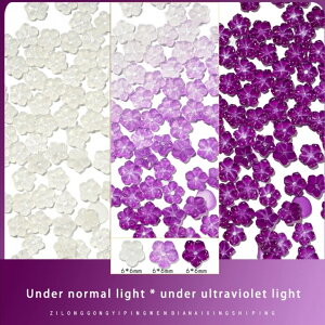 lC lCA[g lCp[c J[`FWp[c J[`FW vA fR[V A[gCXg[ fR[VXg[ e6F lC`bv A[g`bv 