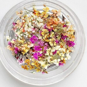 lC lCA[g lCp[c hCt[ [Xt[ V[YJ[ 4 Rei ~bNXJ[ lC`bv A[g`bv  ȒP nhCh ANZT[ 