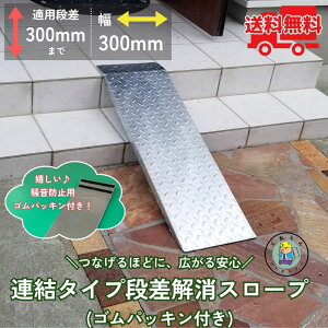 iX[v A^Cv Kpi300mm܂ HSP-R-300W L^Cv 300mm 900mm ω׏d350kg 1 ȍ| @R{X