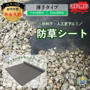 _@ll菤i^hV[g 2m×50m HS-W2 ivϗp _pV[g  lHŉ [ G h~ DIY HV[g @R{X