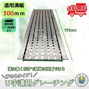 �y�y�V���ӍՁ��|�C���g2�{�z���̂��^�C�v�O���[�`���O U���a HSU-300-25L40 �a��300mm�p ��p�ԉ׏d T-2 �K�i �a �W ���a �����h�~ �f�U�C�� ������� �@�R�{�X