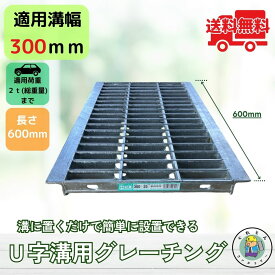 グレーチング U字溝 HGU-300-25L600 溝幅300mm用 乗用車荷重 規格 T-2 溝 蓋 側溝 普及型 並目 L600 法山本店
