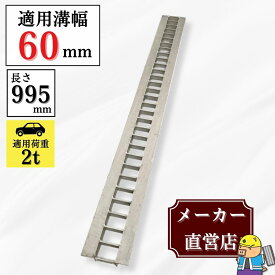 グレーチング U字溝 HGU-60-19 溝幅60mm用 乗用車荷重 規格 T-2 溝 蓋 側溝 普及型 並目 法山本店