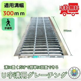 【ランキング受賞！】 グレーチング U字溝 HGU-300-19 溝幅300mm用 歩道用荷重 規格 溝 蓋 側溝 普及型 並目 法山本店