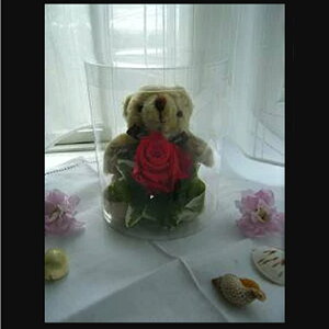 yސE zvU[uht[@xA[Y yhV̓ a AWg ސE o KN җj   ʂ  q LO z