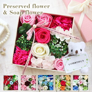 vU[uht[ v[g av[g a Mtg  AW o {bNX   c hV̓ ސE j j a@ Cj     