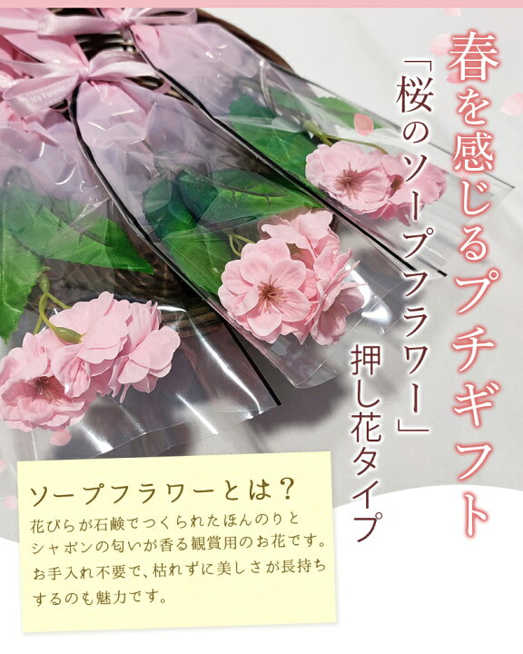 楽天市場 ソープフラワー 1本 3輪 桜 押し花 プチギフト 卒業式 卒園式 退職 異動 サクラ 桜モチーフ ミニブーケ 花 ギフト 発表会 講演会 記念日 誕生日 発表会 枯れない花 敬老の日 母 祖母 両親 還暦 女性 母の日思いのギフト屋さん