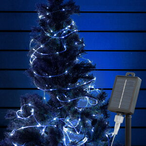 C~l[V O \[[ NX}X [vCg Op C~l[VCg \[[C~l[VCg C~l[V 100 NX}X   K[fCg