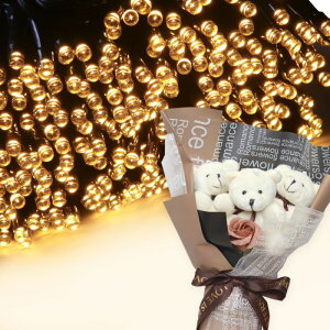 NX}X v[g Mtg \[[C~l[V 300 ԑ xAu[P  q Ƒ FB   c[ X  