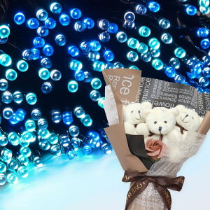 NX}X v[g Mtg \[[C~l[V 300 ԑ xAu[P  q Ƒ FB   c[ X  