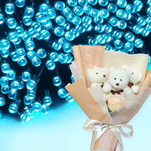 NX}X v[g Mtg \[[C~l[V 300 ԑ xAu[P  q Ƒ FB   c[ X  