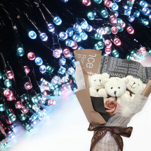 NX}X v[g Mtg \[[C~l[V 300 ԑ xAu[P  q Ƒ FB   c[ X  