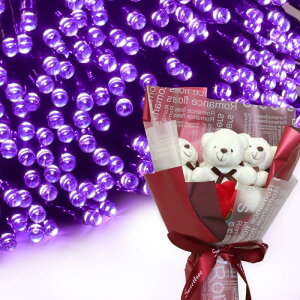 NX}X v[g Mtg \[[C~l[V 300 ԑ xAu[P  q Ƒ FB   c[ X  