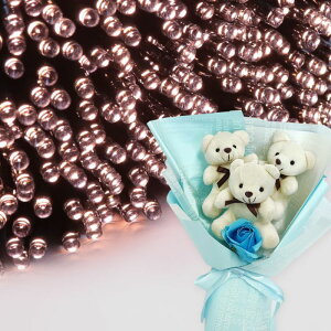 NX}X v[g Mtg \[[C~l[V 300 ԑ xAu[P  q Ƒ FB   c[ X  