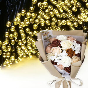 \[vt[ a v[g av[g 蕨 Zbg  ސE Mtg  ԑ u[P o LED Cg FB Fl j  FB t[Mtg ԃMtg 