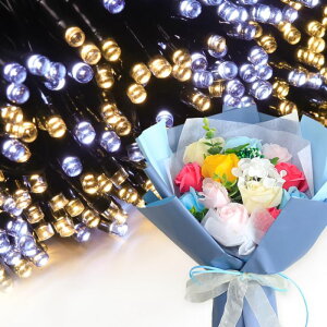 \[vt[ a v[g av[g 蕨 Zbg  ސE Mtg  ԑ u[P o LED Cg FB Fl j  FB t[Mtg ԃMtg 