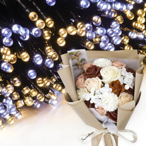 �\�[�v�t�����[ �a���� �v���[���g �a�����v���[���g ���蕨 �Z�b�g ���� �ސE �M�t�g �� �ԑ� �u�[�P �o�� LED ���C�g �F�B �F�l ���j�� ���� ���F�B �t�����[�M�t�g �ԃM�t�g ��������