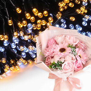 \[vt[ a v[g av[g 蕨 Zbg  ސE Mtg  ԑ u[P o LED Cg FB Fl j  FB t[Mtg ԃMtg 