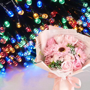 \[vt[ a v[g av[g 蕨 Zbg  ސE Mtg  ԑ u[P o LED Cg FB Fl j  FB t[Mtg ԃMtg 