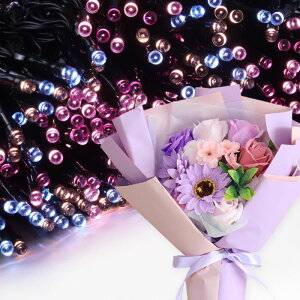 \[vt[ a v[g av[g 蕨 Zbg  ސE Mtg  ԑ u[P o LED Cg FB Fl j  FB t[Mtg ԃMtg 