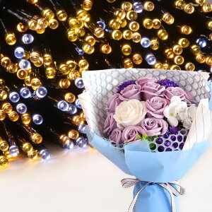 \[vt[ a v[g av[g 蕨 Zbg  ސE Mtg  ԑ u[P o LED Cg FB Fl j  FB t[Mtg ԃMtg 