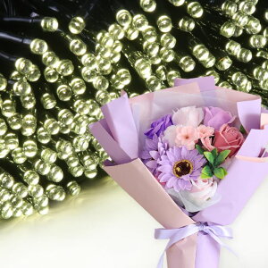 \[vt[ a v[g av[g 蕨 Zbg  ސE Mtg  ԑ u[P o LED Cg FB Fl j  FB t[Mtg ԃMtg 