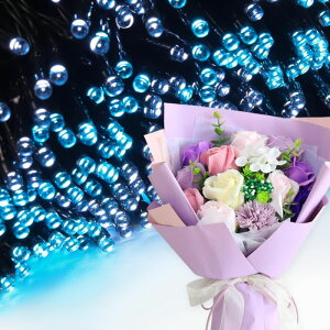 \[vt[ a v[g av[g 蕨 Zbg  ސE Mtg  ԑ u[P o LED Cg FB Fl j  FB t[Mtg ԃMtg 