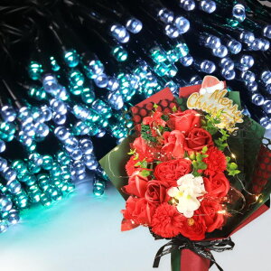 \[vt[ a v[g av[g 蕨 Zbg  ސE Mtg  ԑ u[P o LED Cg FB Fl j  FB t[Mtg ԃMtg 