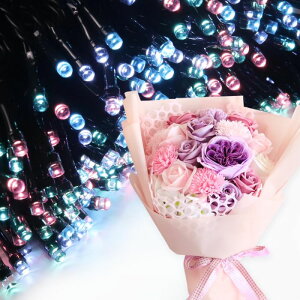 \[vt[ a v[g av[g 蕨 Zbg  ސE Mtg  ԑ u[P o LED Cg FB Fl j  FB t[Mtg ԃMtg 