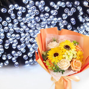 \[vt[ a v[g av[g 蕨 Zbg  ސE Mtg  ԑ u[P o LED Cg FB Fl j  FB t[Mtg ԃMtg 