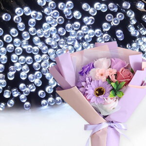 \[vt[ a v[g av[g 蕨 Zbg  ސE Mtg  ԑ u[P o LED Cg FB Fl j  FB t[Mtg ԃMtg 