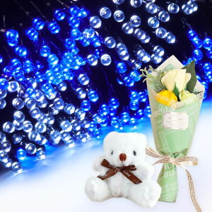 v[g Mtg \[[C~l[V 300 ԑ ~ju[P  ʂ  q Ƒ FB   c[ X  