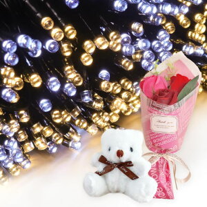 �v���[���g �M�t�g �\�[���[�C���~�l�[�V���� 300�� �ԑ� �~�j�u�[�P ���� �ʂ������ ���� �q�� �Ƒ� �F�B ���� ���� �c���[ �X�� ���� ��������