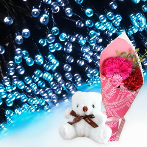 v[g Mtg \[[C~l[V 300 ԑ ~ju[P  ʂ  q Ƒ FB   c[ X  