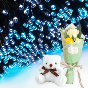 v[g Mtg \[[C~l[V 300 ԑ ~ju[P  ʂ  q Ƒ FB   c[ X  