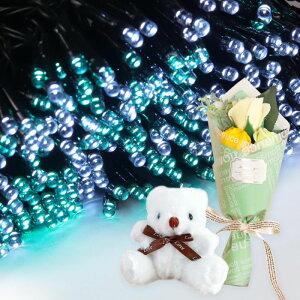 v[g Mtg \[[C~l[V 300 ԑ ~ju[P  ʂ  q Ƒ FB   c[ X  