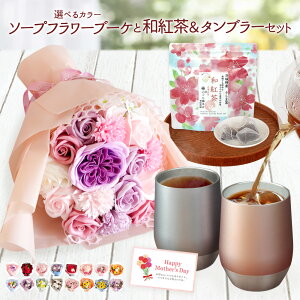 v[g av[g \[vt[  ԑ u[P a Mtg Ђ܂ o ag ^u[ ސEv[g j a@ Cj  