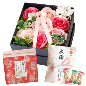 hV̓Mtg \[vt[ hV̓ َq  \ a v[g Mtg \[vt[Mtg {bNX AWg  ԑ  ސE LO LOi    