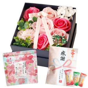 hV̓Mtg \[vt[ hV̓ َq  \ a v[g Mtg \[vt[Mtg {bNX AWg  ԑ  ސE LO LOi    