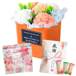 \[vt[  ~ ăMtg \[vt[Mtg  ԃMtg |bg t[|bg a v[g av[g LO j ސE  Mtg o J[l[V