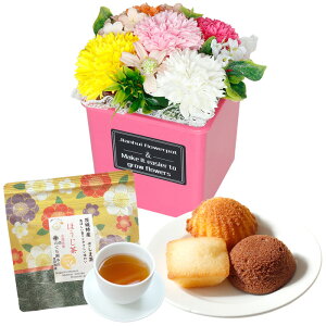 \[vt[  ~ ăMtg \[vt[Mtg  av[g \ a v[g Mtg oYj AWg  ԑ LO o Ђ܂ Cj c