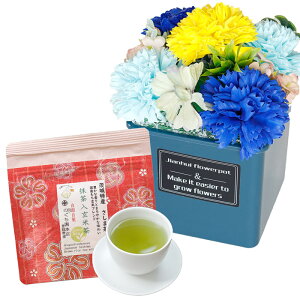 \[vt[  ~ ăMtg \[vt[Mtg  av[g \ a v[g Mtg oYj AWg  ԑ LO o Cj c FB