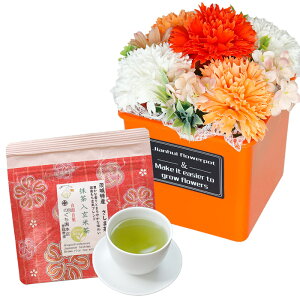 �\�[�v�t�����[ ������ ���~ �ăM�t�g �\�[�v�t�����[�M�t�g ���� �a�����v���[���g ���\�� �a���� �v���[���g �M�t�g �o�Y���j�� �A�����W�����g �� �ԑ� �L�O�� �o�� ���C�j�� �c�� ���F�B