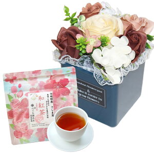 \[vt[  ~ ăMtg \[vt[Mtg  av[g \ a v[g Mtg oYj AWg  ԑ LO o Cj c FB