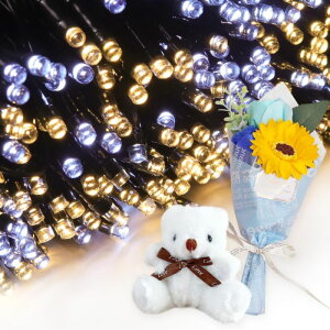 v[g Mtg \[[C~l[V 300 ԑ ~ju[P  ʂ  q Ƒ FB   c[ X  