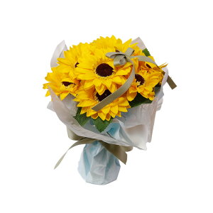 a \[vt[ ԑ  v[g av[g j l \ j Mtg a߂łƂ u[P ͂Ȃ  o Ђ܂ TCY  FB 70 60